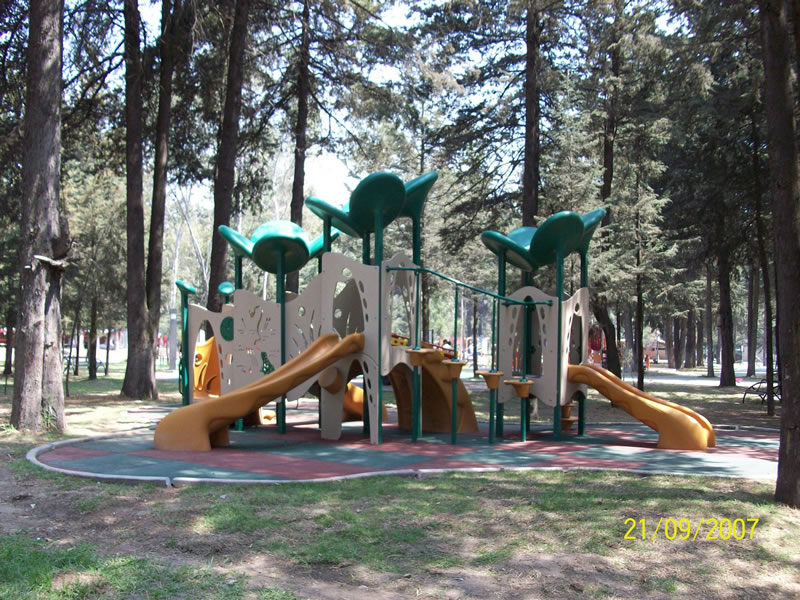 Image 6