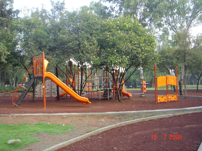Image 6