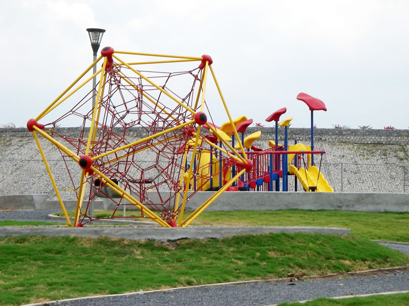 Image 6